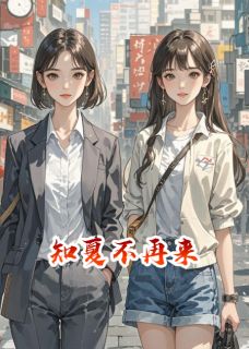 知夏不再来