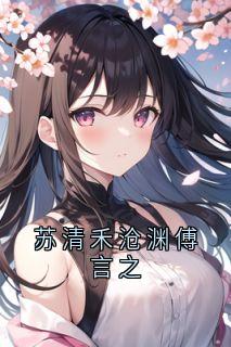 苏清禾沧渊傅言之