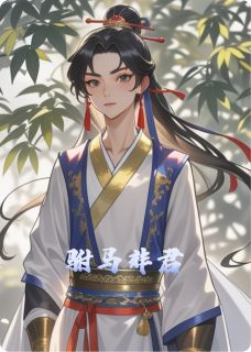驸马非君