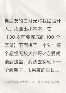 我的计划本