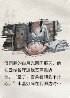 全网围观我怀了渣总龙凤胎