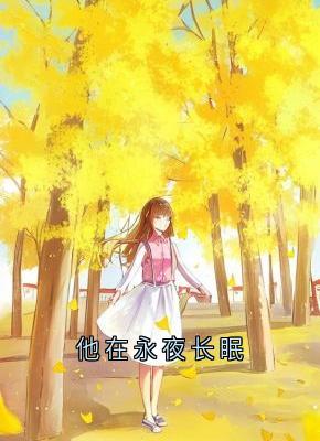 他在永夜长眠