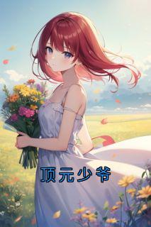 顶元少爷