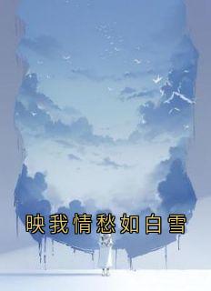 映我情愁如白雪