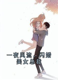 一夜风流，闪婚美女总裁