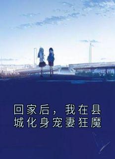 回家后，我在县城化身宠妻狂魔